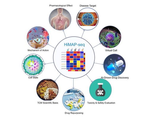 王棟、鄧赟與許俊泉團(tuán)隊(duì)開發(fā)HiMAP-seq新技術(shù)并構(gòu)建三億量級藥物基因表達(dá)數(shù)據(jù)庫CIGS，引領(lǐng)生物技術(shù)新前沿